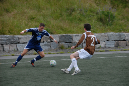 vvileidsvЖg2012 010